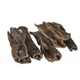 Marhapacal szárítva 250g, Teomann