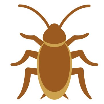 Rovar