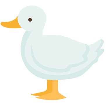Kacsa