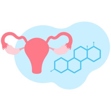 Hormonrendszer